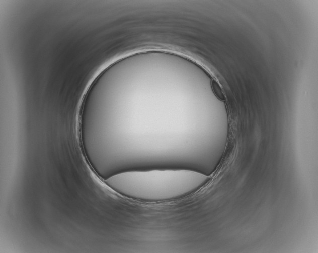 X0000110711535200906121046