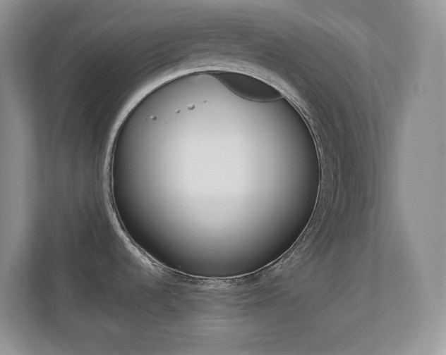 X0000110711536200906121046