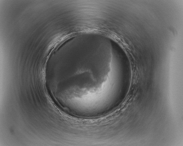 X0000110710002200906121404