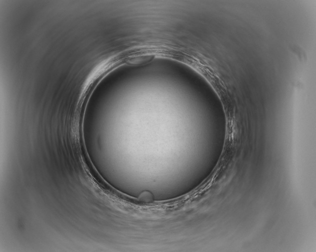 X0000110710004200906121404