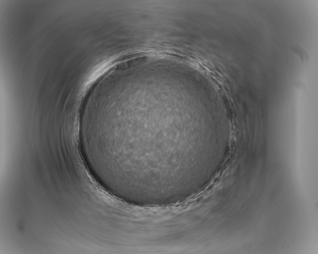 X0000110710005200906121404
