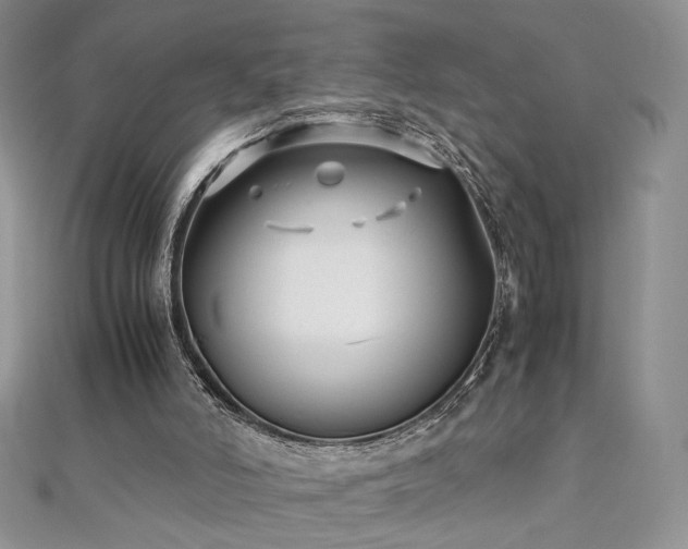 X0000110710006200906121404