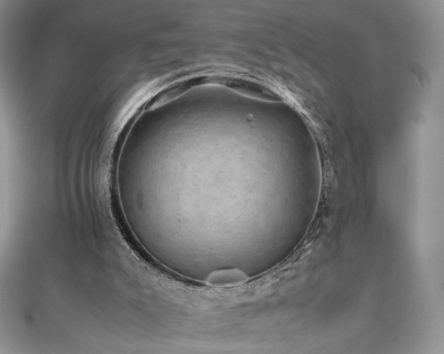 X0000110710007200906121404