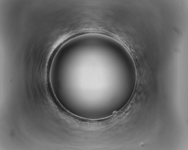 X0000110710008200906121404