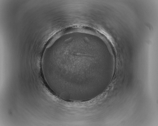 X0000110710009200906121404