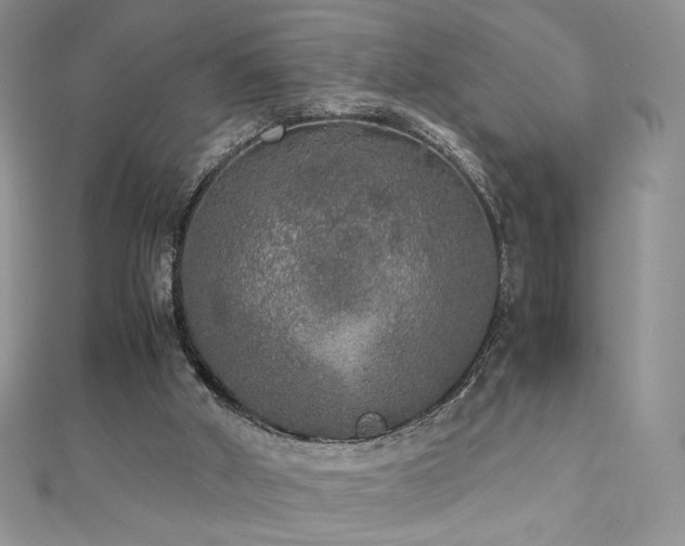 X0000110710010200906121404