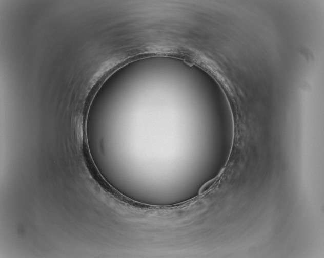 X0000110710011200906121404