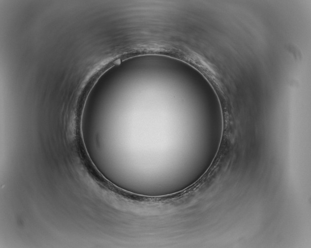X0000110710012200906121404
