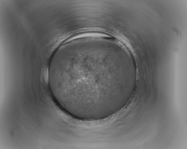 X0000110710013200906121404
