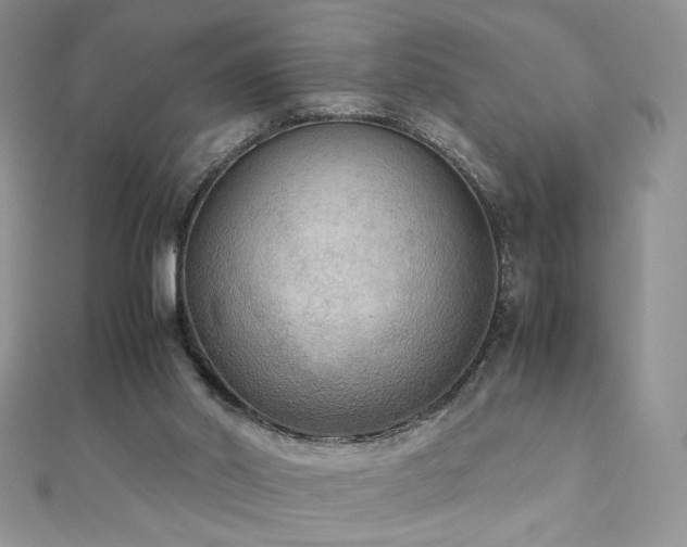 X0000110710014200906121404