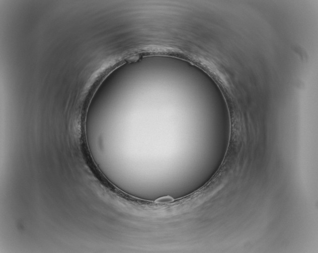 X0000110710015200906121404