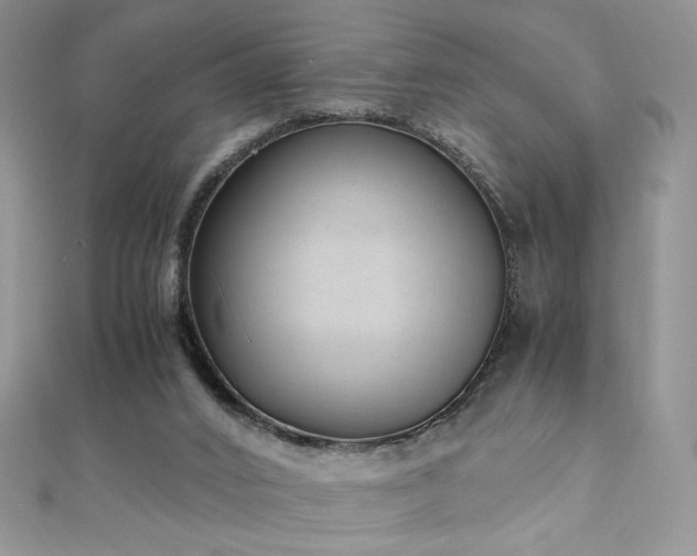 X0000110710016200906121404