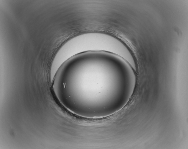 X0000110710017200906121404