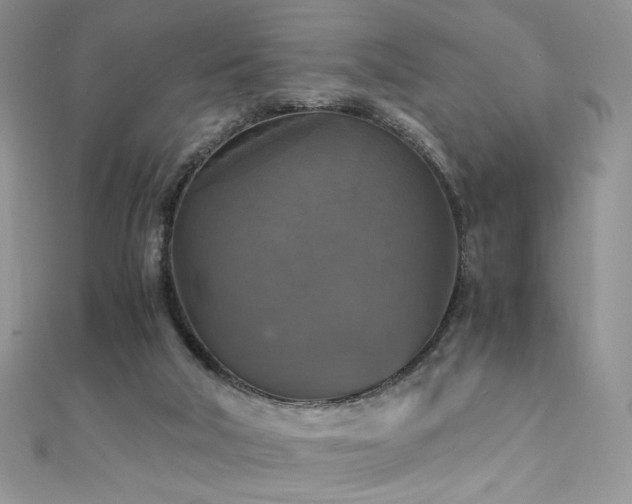 X0000110710018200906121404
