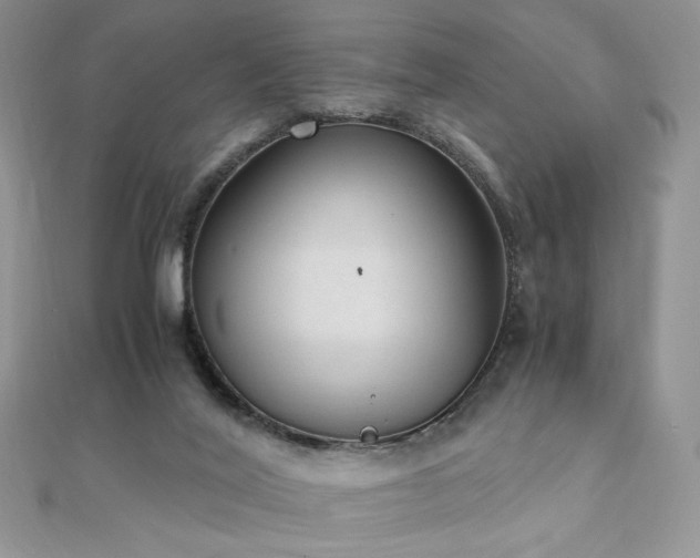 X0000110710020200906121404