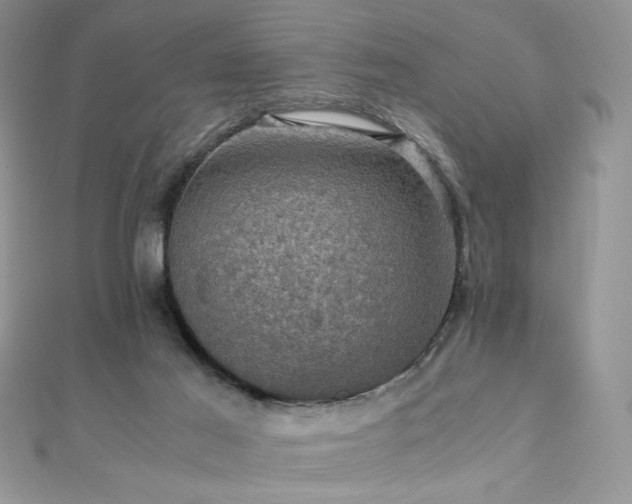 X0000110710021200906121404