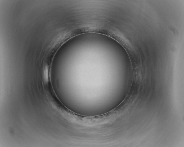 X0000110710022200906121404