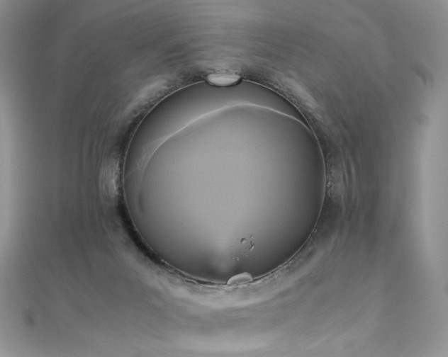X0000110710023200906121404