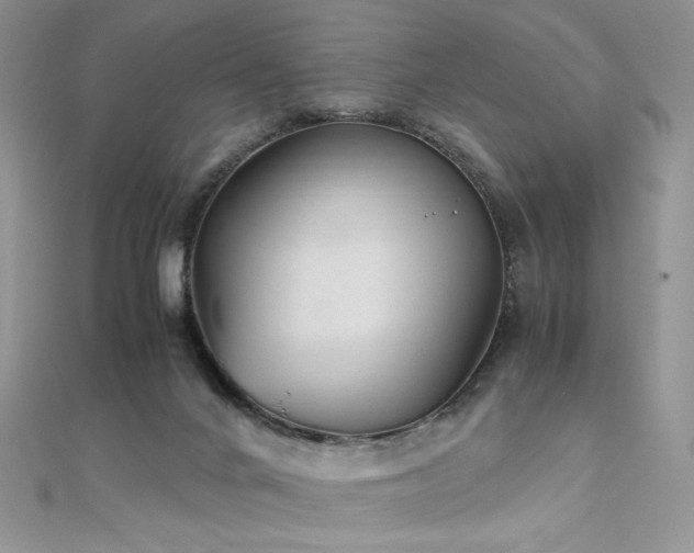 X0000110710024200906121404