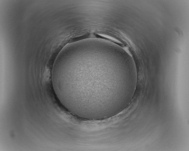 X0000110710025200906121404