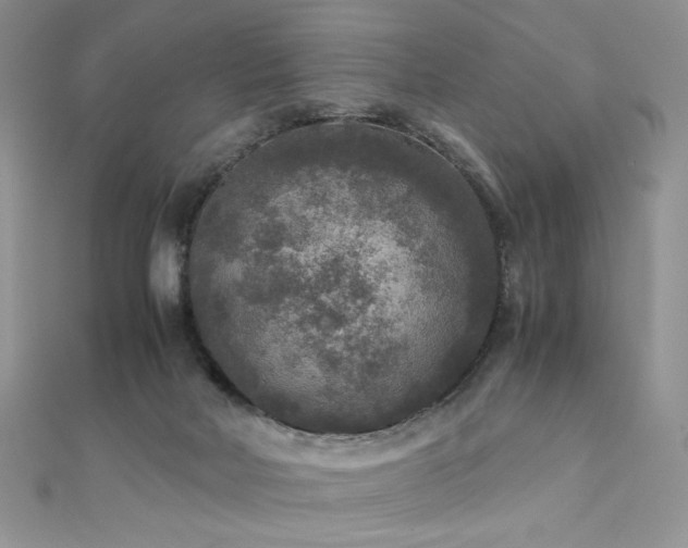 X0000110710026200906121404