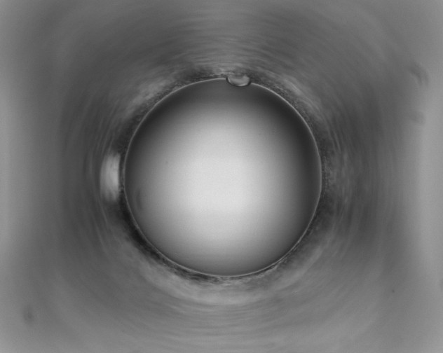 X0000110710028200906121404