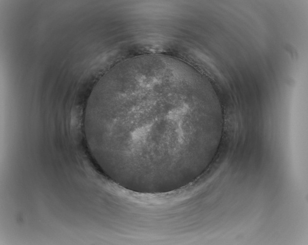 X0000110710030200906121404