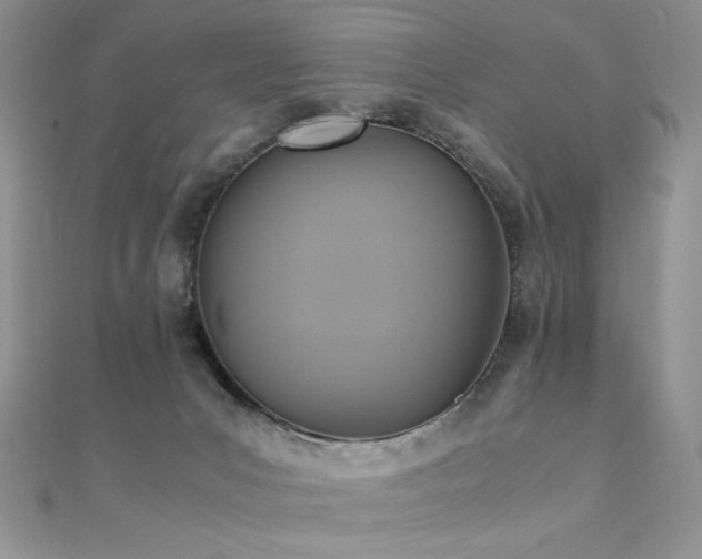X0000110710031200906121404