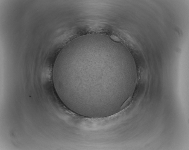 X0000110710033200906121404