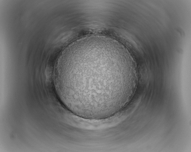 X0000110710034200906121404