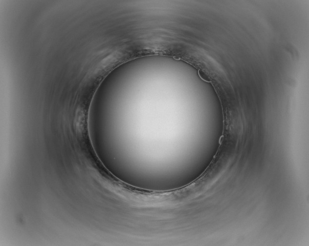 X0000110710036200906121404