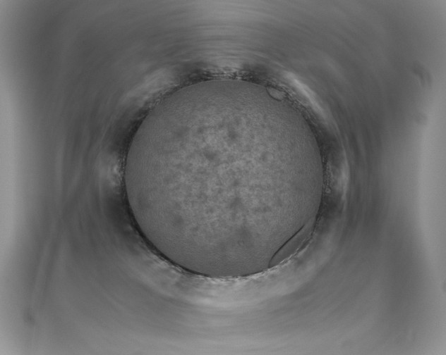 X0000110710037200906121404