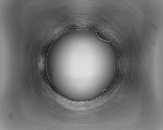 X0000110710038200906121404