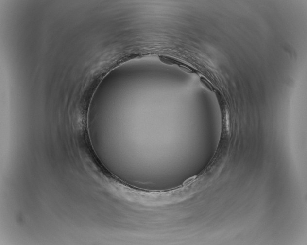 X0000110710039200906121404