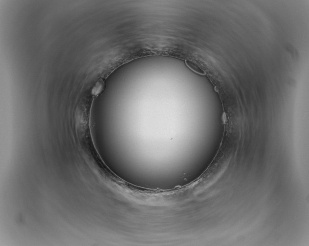 X0000110710040200906121404