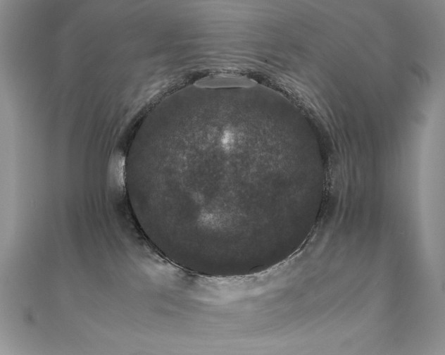 X0000110710041200906121404