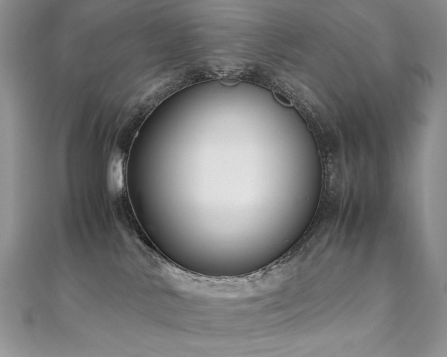 X0000110710042200906121404