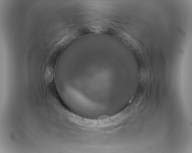 X0000110710043200906121404