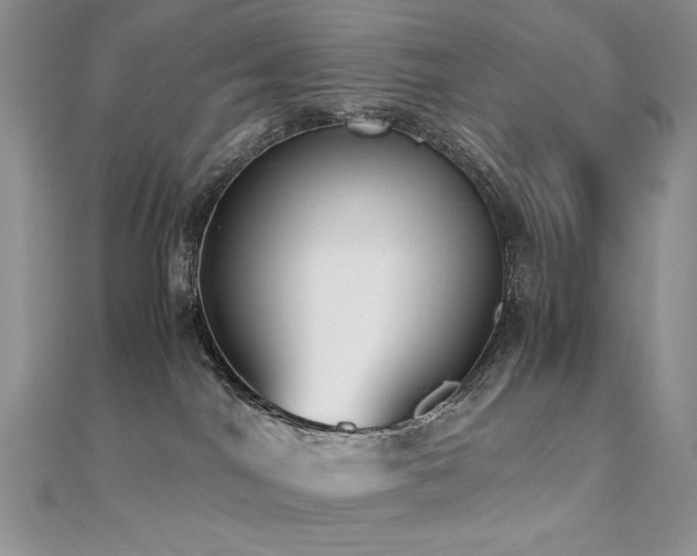 X0000110710044200906121404