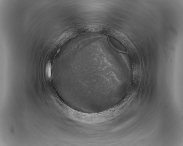 X0000110710046200906121404