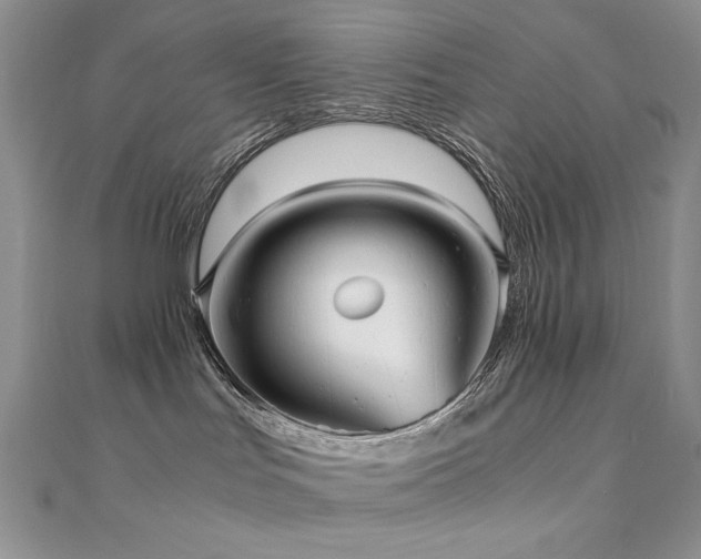 X0000110710047200906121404