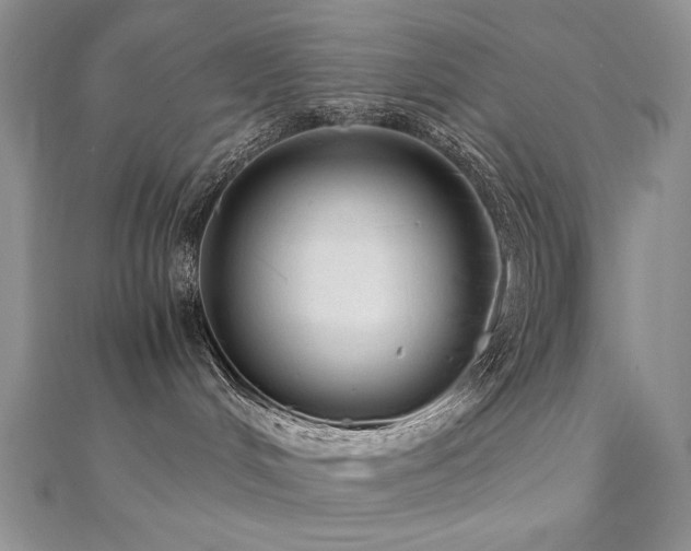 X0000110710048200906121404