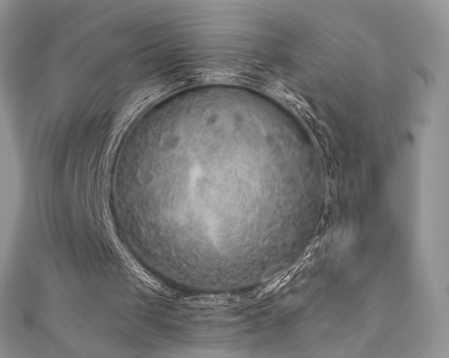 X0000110710049200906121403