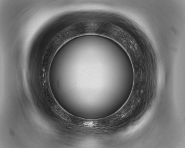 X0000110710050200906121403