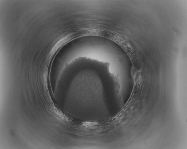 X0000110710051200906121403