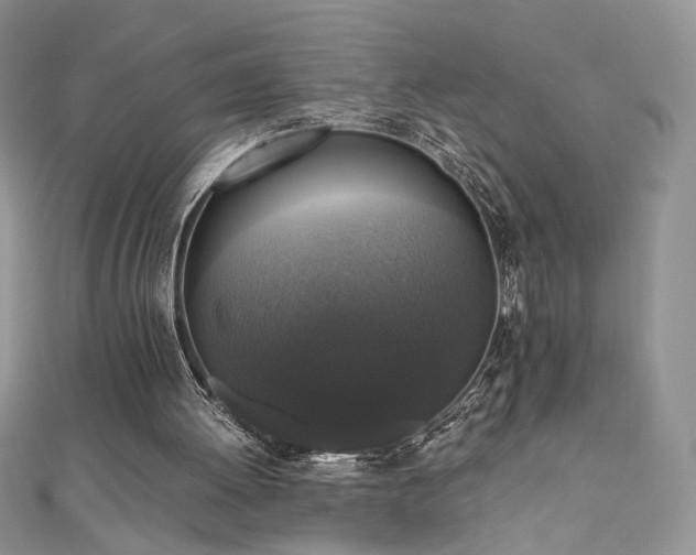 X0000110710052200906121403