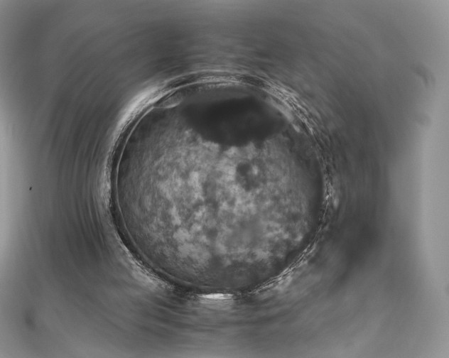 X0000110710053200906121403