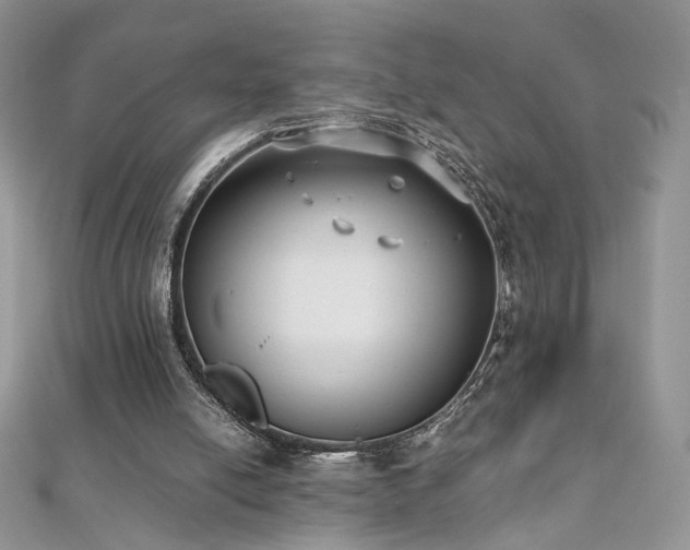 X0000110710054200906121403