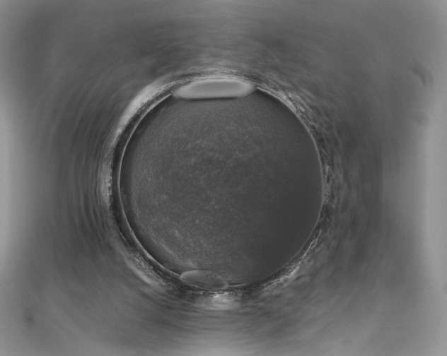 X0000110710056200906121403