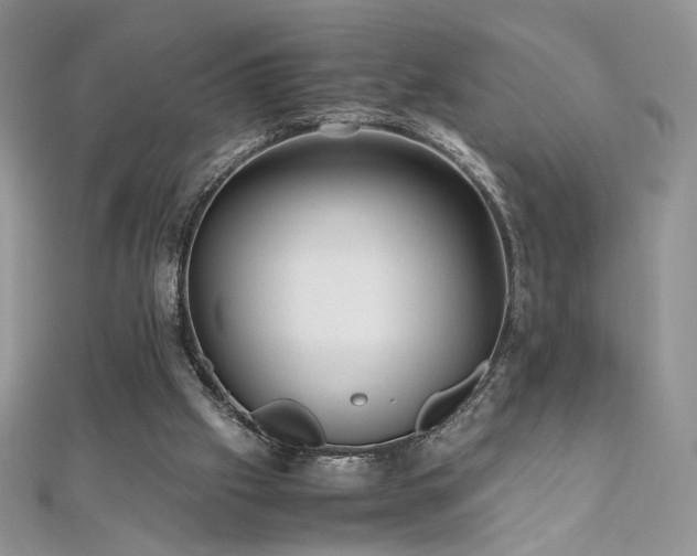 X0000110710057200906121403